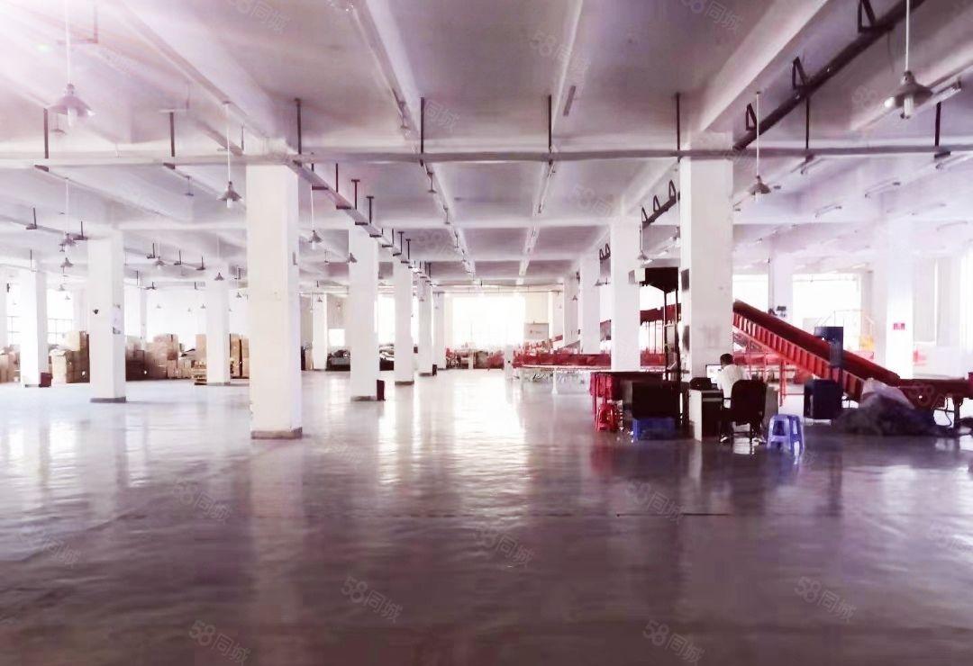 龙华一楼原房东4000平，可做物流仓储，适合多行业