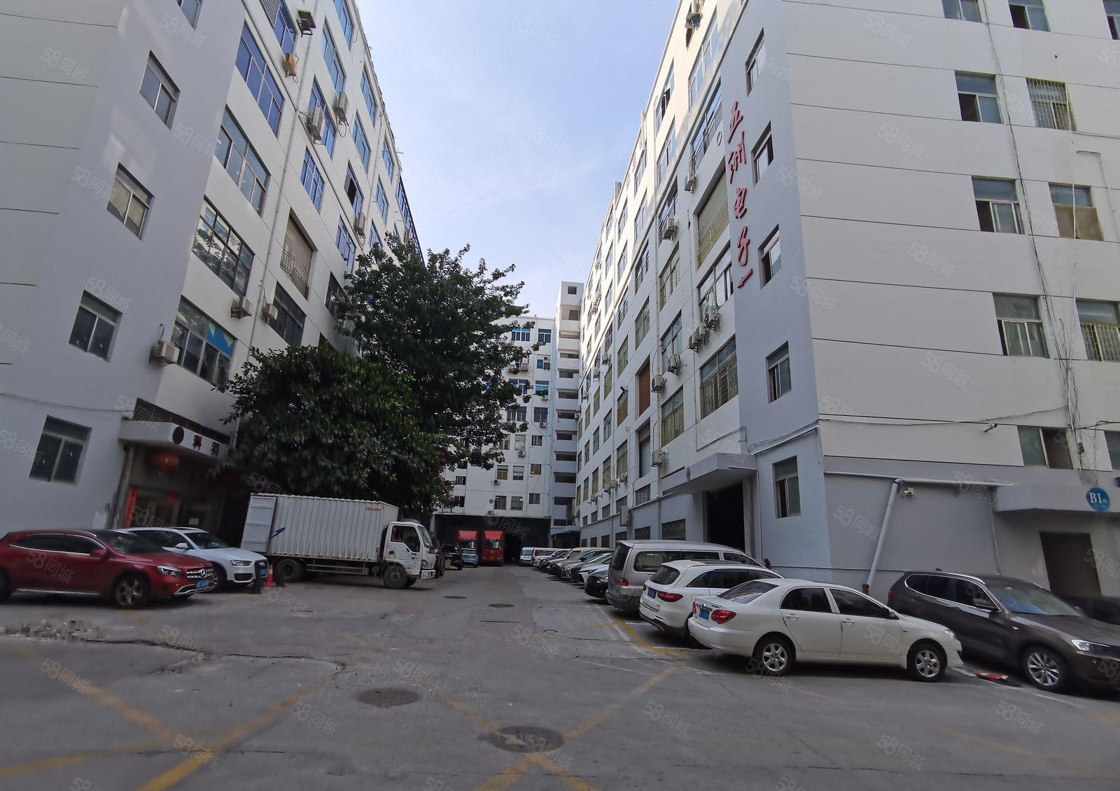 西乡桃源居 一楼1652平米 赠送600平隔楼 层高6米带