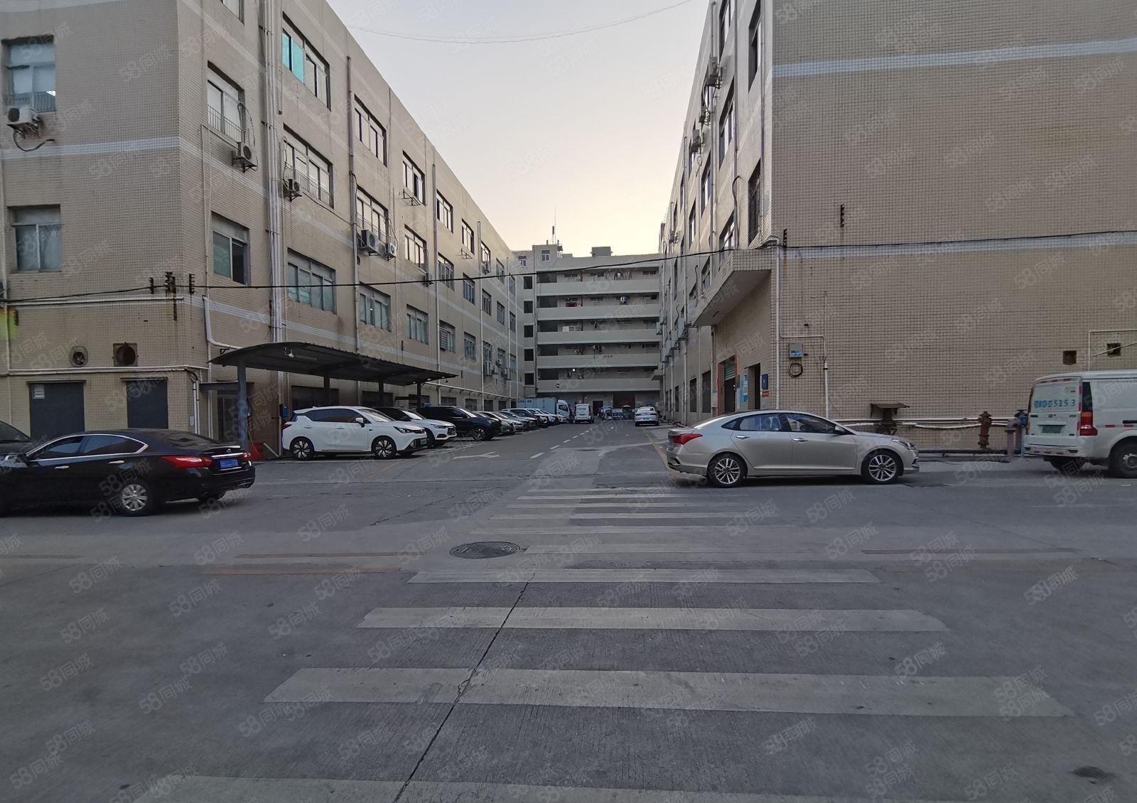 大小分租！沙井共和工业园新出三楼2700平方原房东厂房出租