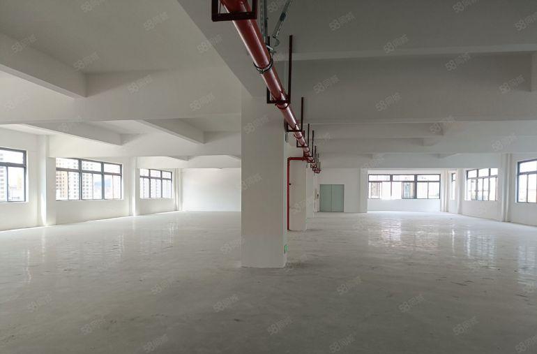 松岗地铁站附近独门独院厂房5800平方出租500起分租