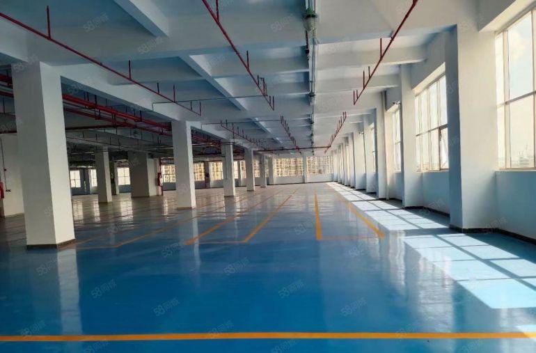 沙井原房东直租6000平独门独院精装办公厂房仓库出租，可分租