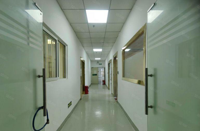 西乡固戍一手直租！570平厂房仓库特价租，水电齐全 即租即用