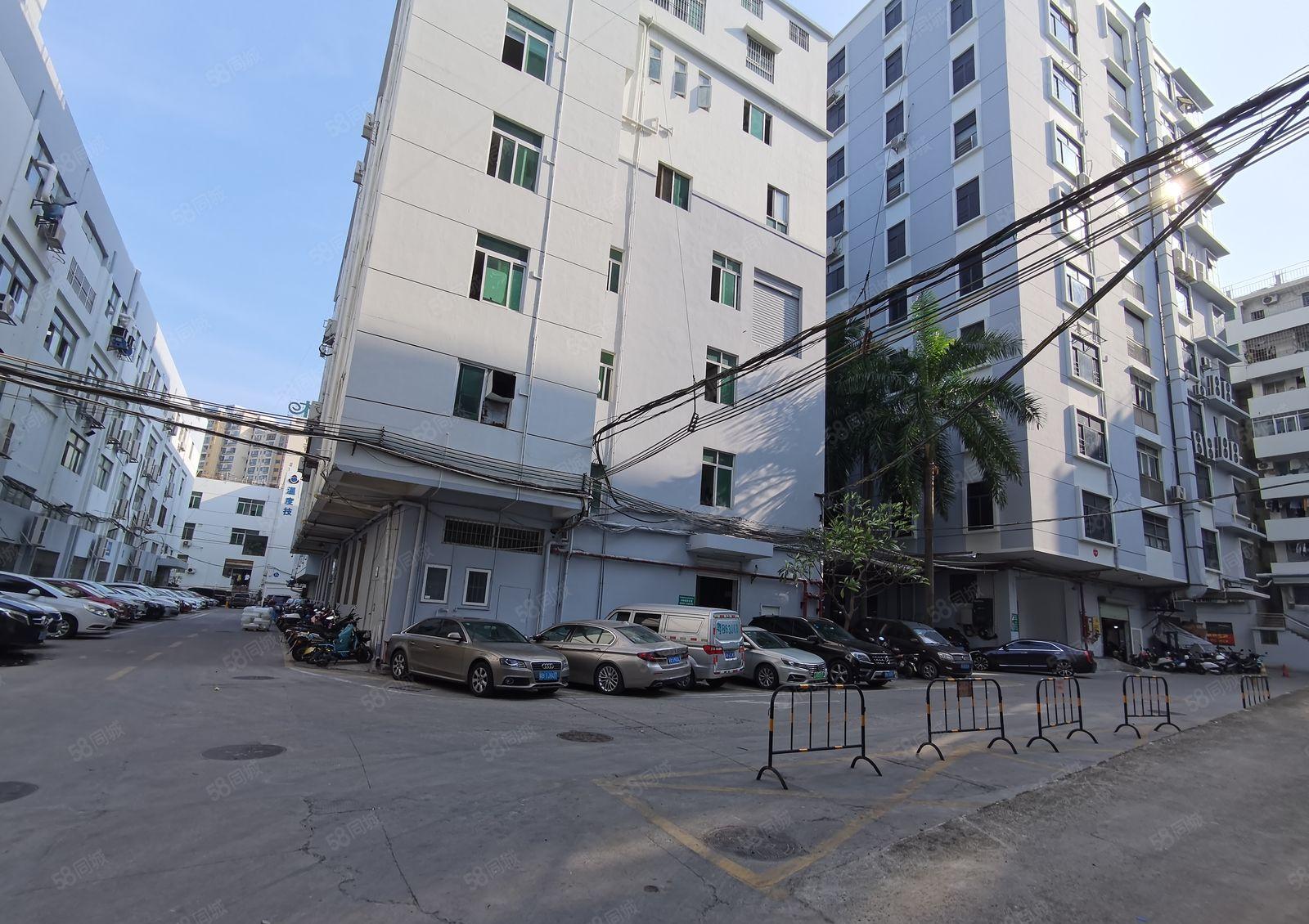 西乡桃源居独院厂房 整层1705平米带装修 光线通透交通好