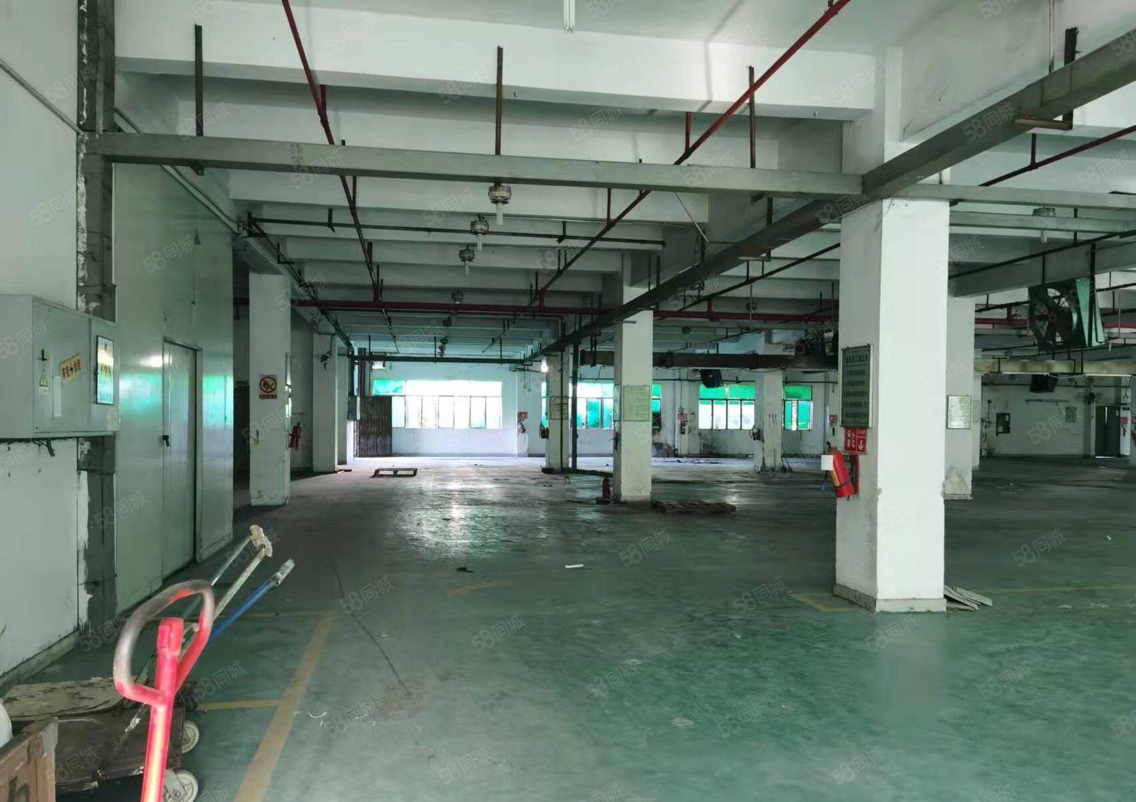 松岗仓库出租12000平可长租短租价格实惠300起租