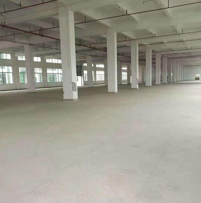 沙井街道新和大道边共和附近原房东红本独院厂房一楼630平方出