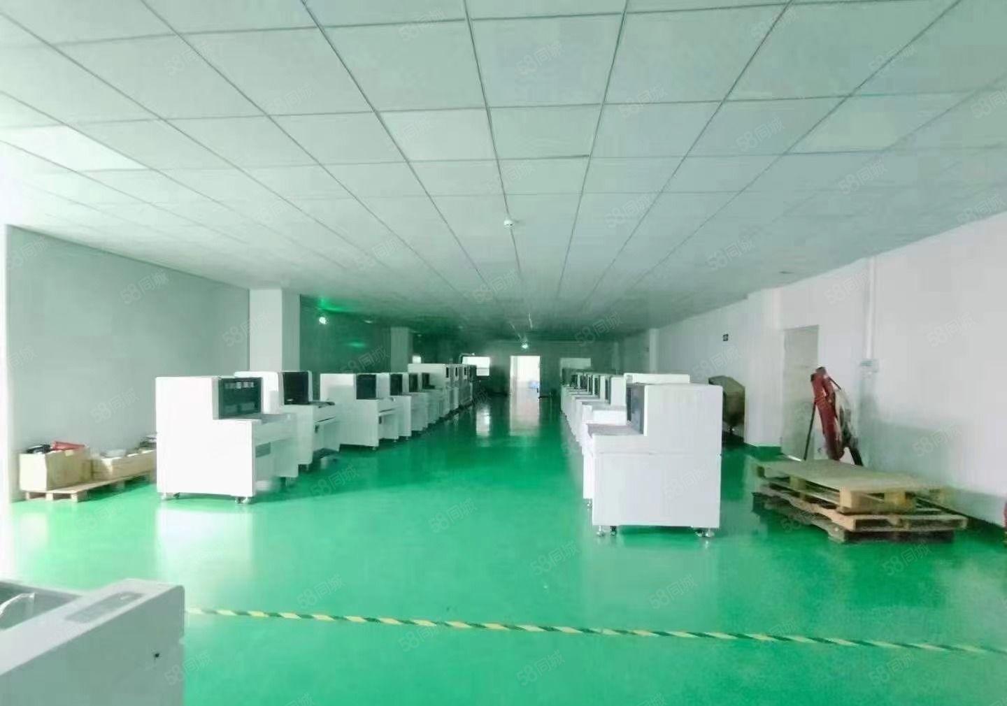 福永白石厦国道旁1000平原房东精装修厂房出租大小可分形象好