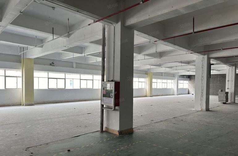 急出1210方28元 租厂房出租仓库 户型方正黄田光电产业园