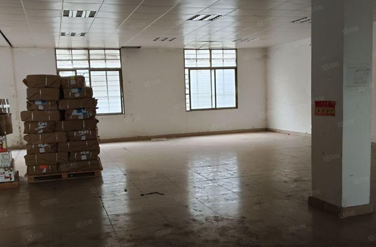 西乡九围洲石路旁 原房东一楼 精装修540平