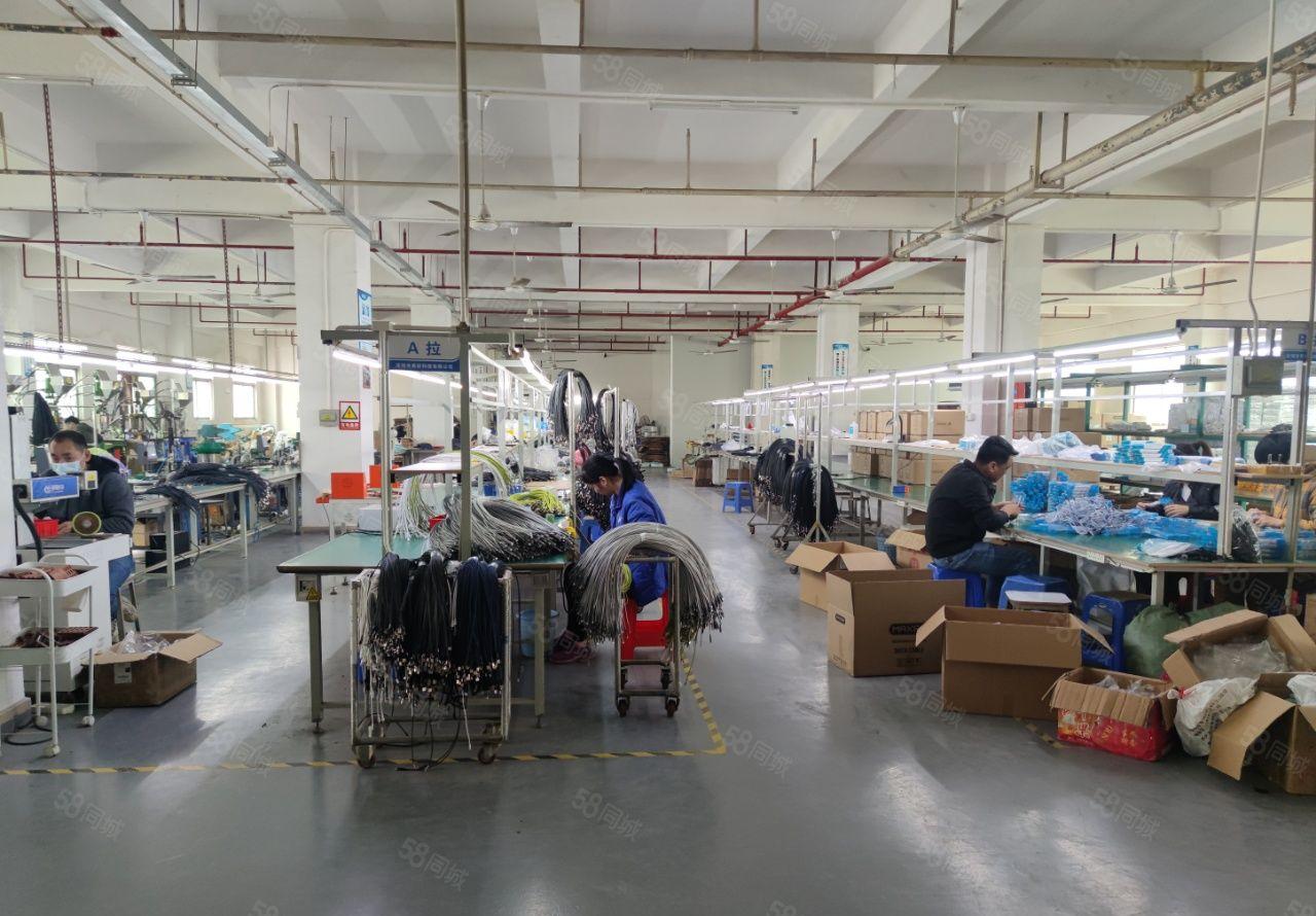 福永新和沿江高速整层厂房2200平现成装修出租分租易招工