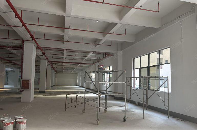 合同10年西乡宝田原房东独门独院6000平仓库厂房出租可分租