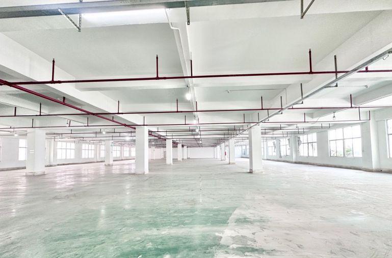 沙井工业区原房东红本厂房仓库楼上3400平出租可分租好进大车