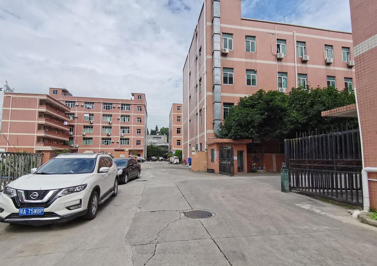 沙井高新区800平至5000平一二楼仓库厂房出租独院可分租