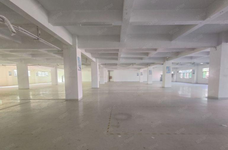 西乡九围楼上整层带装修3288平厂房出租，使用率高，已电改