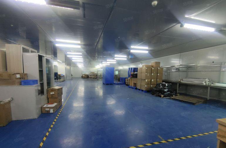 龙华大浪商业中心原房东无尘车间精装修3000平厂房低价出租