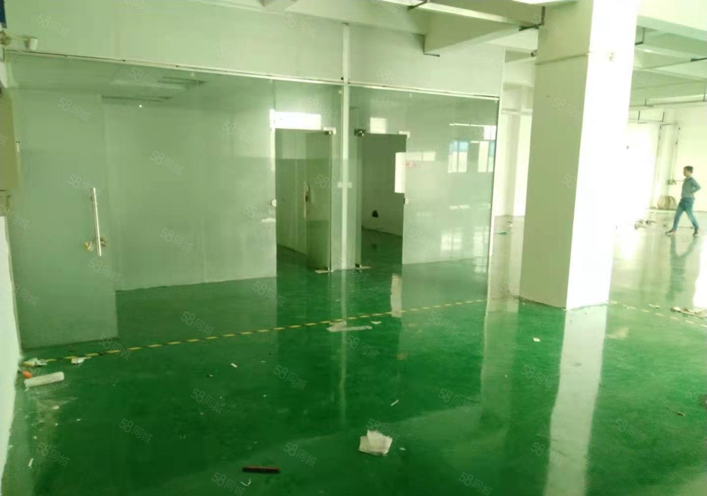 沙井新桥高速路口楼上280平米厂房招租