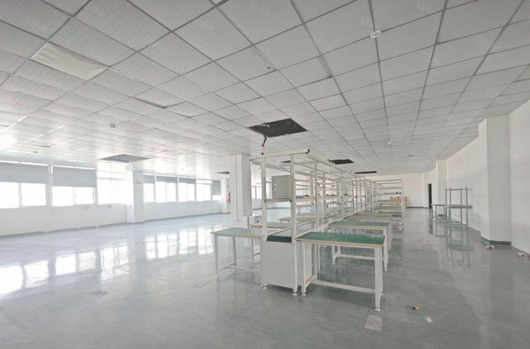 石岩原房东工业园精装修2000平办公厂房出租一楼仓库可分租