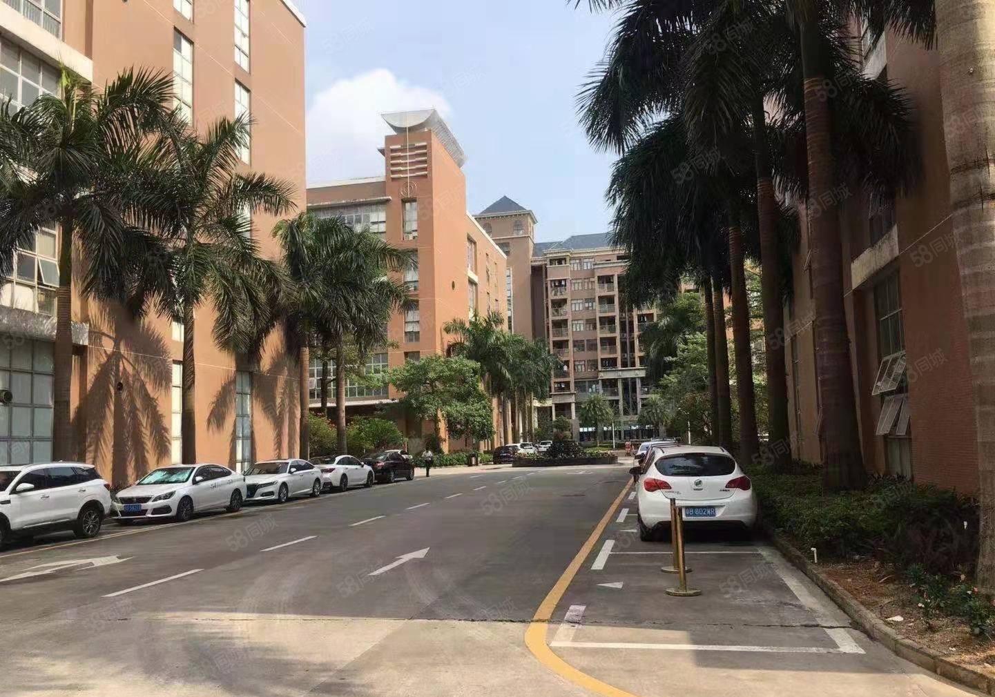 松岗高新园200平至整层3200平办公室一楼仓库厂房出租