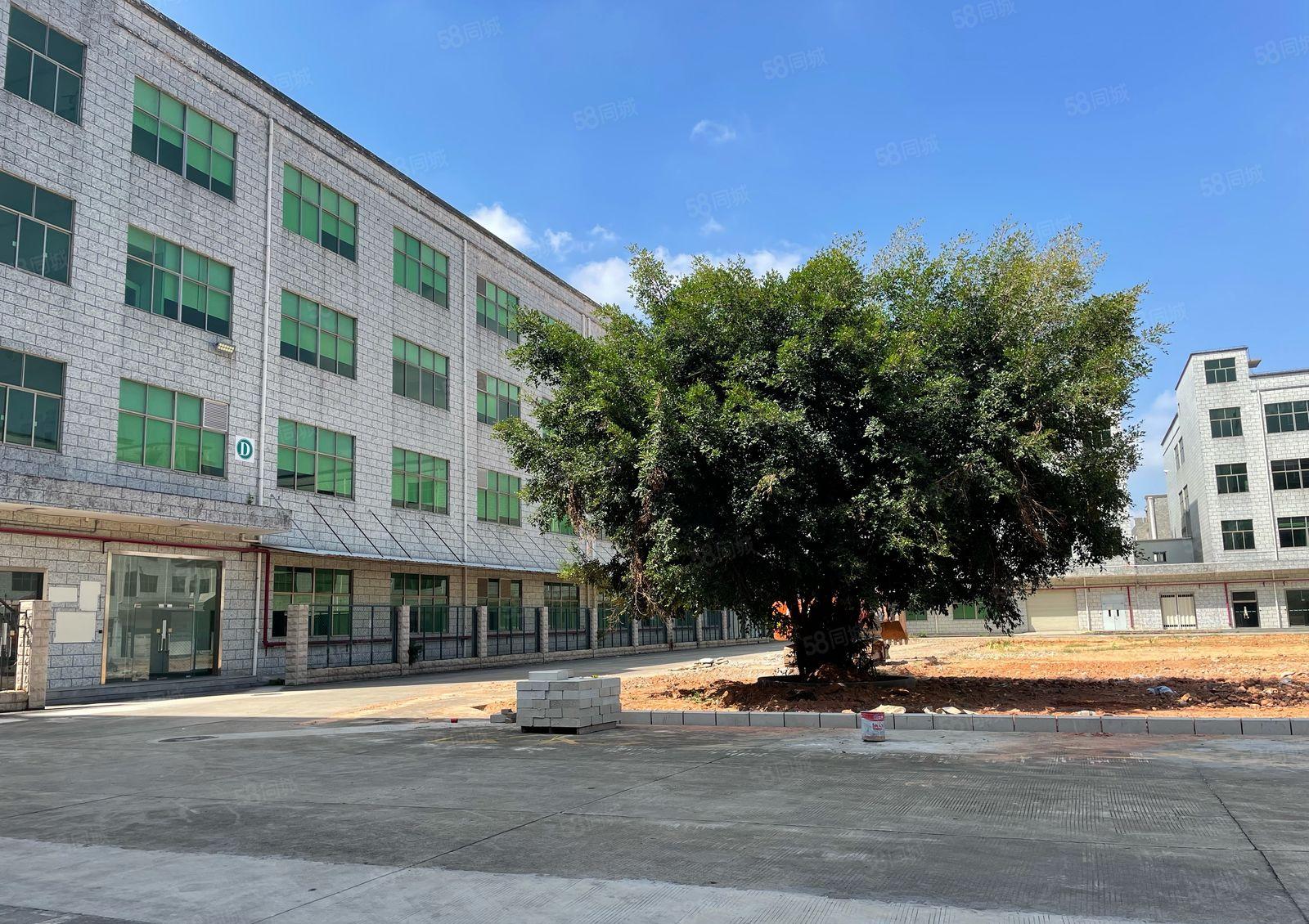 西乡43600平红本独院主干道边高新园区空地大2000平起分