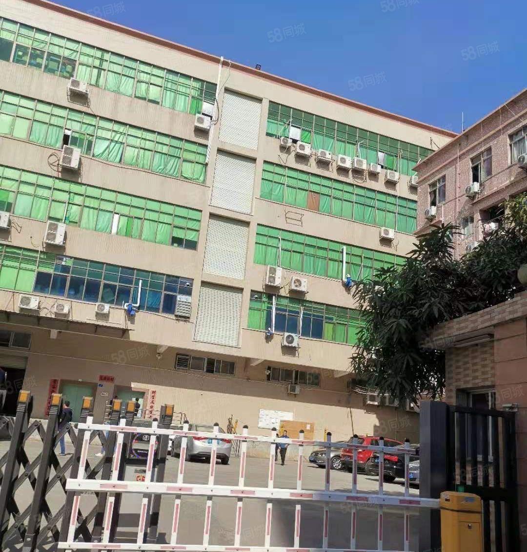 石岩塘头高速出口原房东厂房独门独院15700平方米