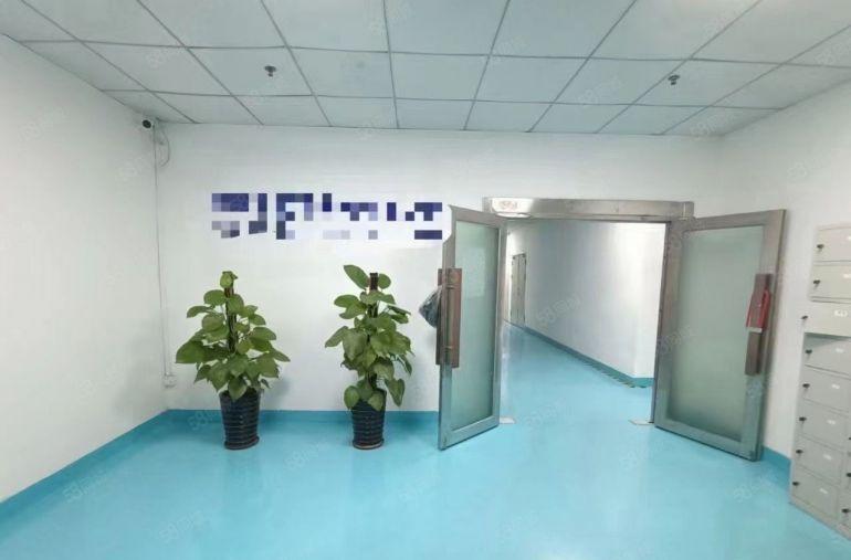 福永桥头原房东精装600平无尘车间厂房研发办公电商仓库出租