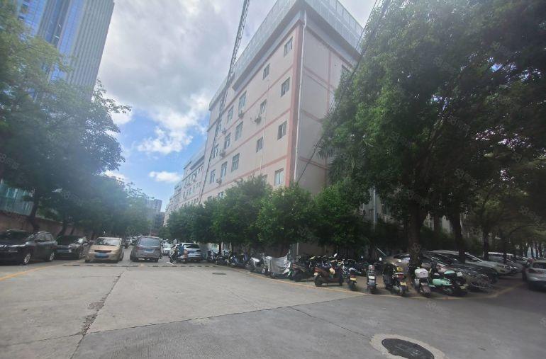 西乡固戍梧桐岛附近小面积厂房100平方起租