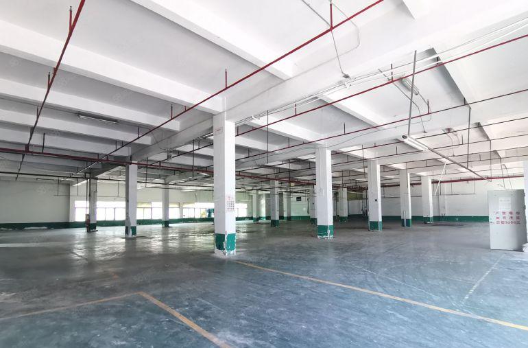 福永和平会展中心8000平独门独院原房东红本工业厂房低价出租