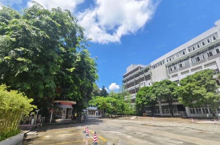 宝安石岩厂房原房东100平起租一楼楼上精装修电商办公研发仓库