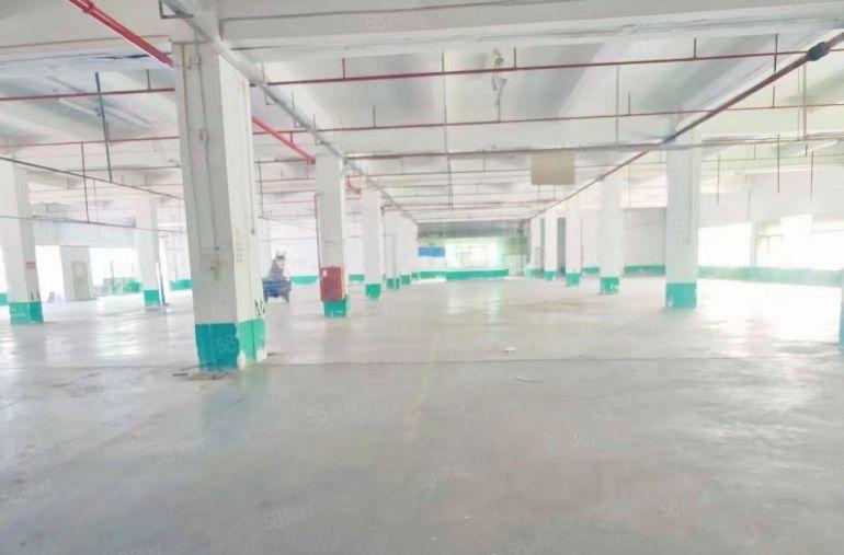 沙井独院红本厂房出租原房东厂房出租4500平6000平厂房出