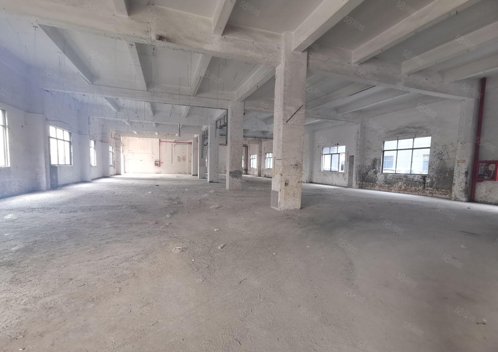 宝安固戍整栋5600平一楼厂房1400平米 可整栋整层出租