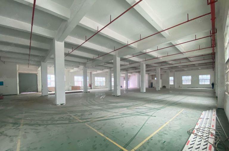 宝安石岩工业区2000平红本厂房出租 原房东200起分