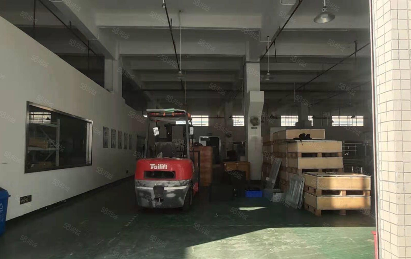 松岗大田洋一楼3000平，高度5.8米，带牛角，电200，