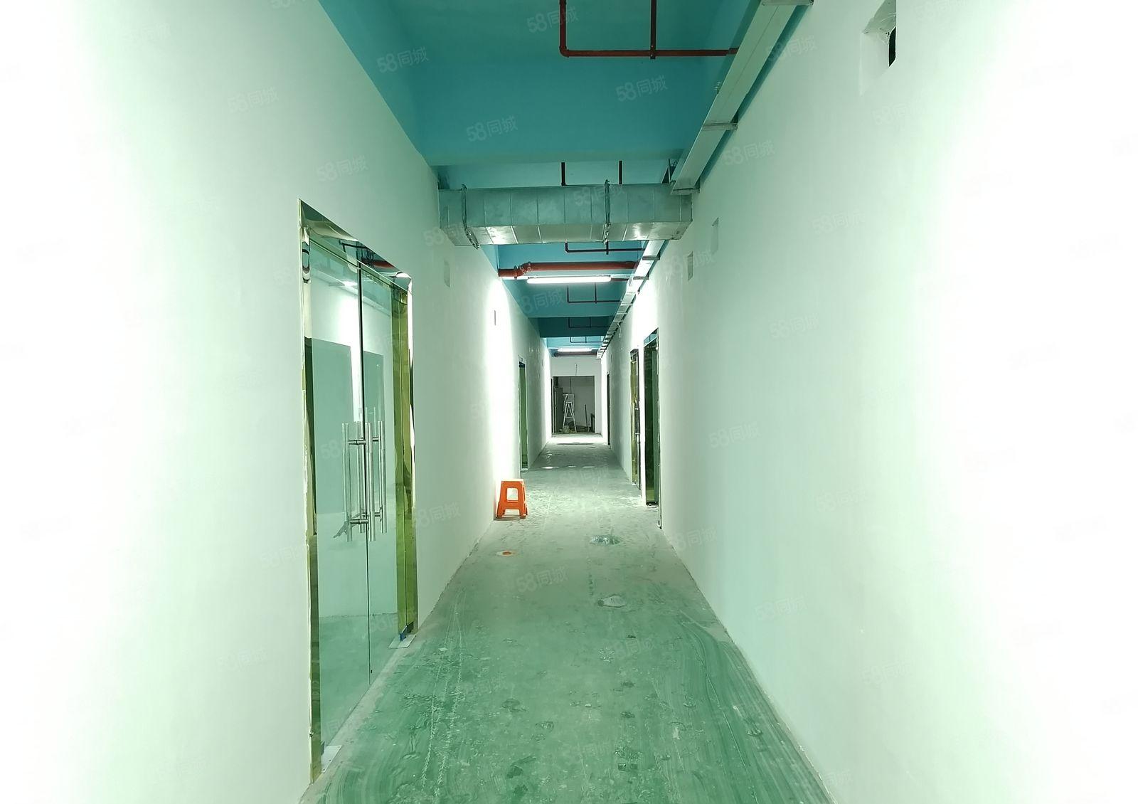 新桥107国道旁厂房大小分租