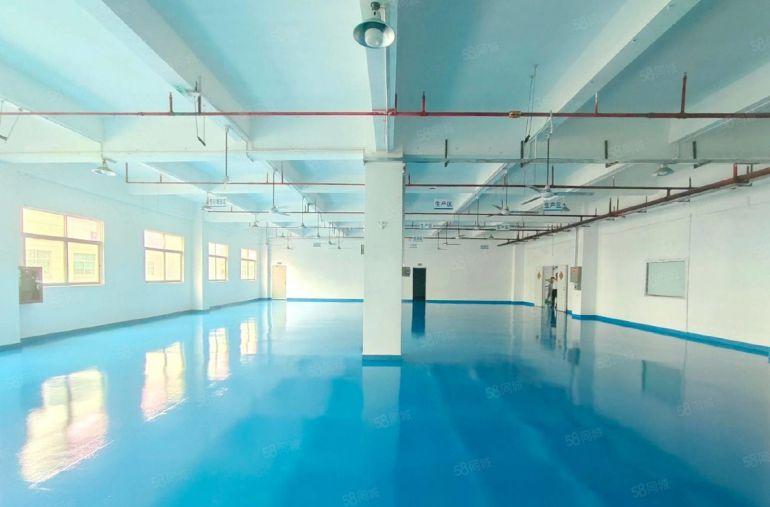 福永新和天瑞1600平精装红本厂房全新地坪漆格局可分可分租