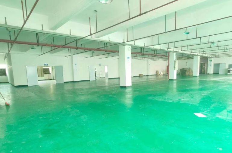 西乡地铁口原房东楼上1000平厂房出租，带装修，300平起租