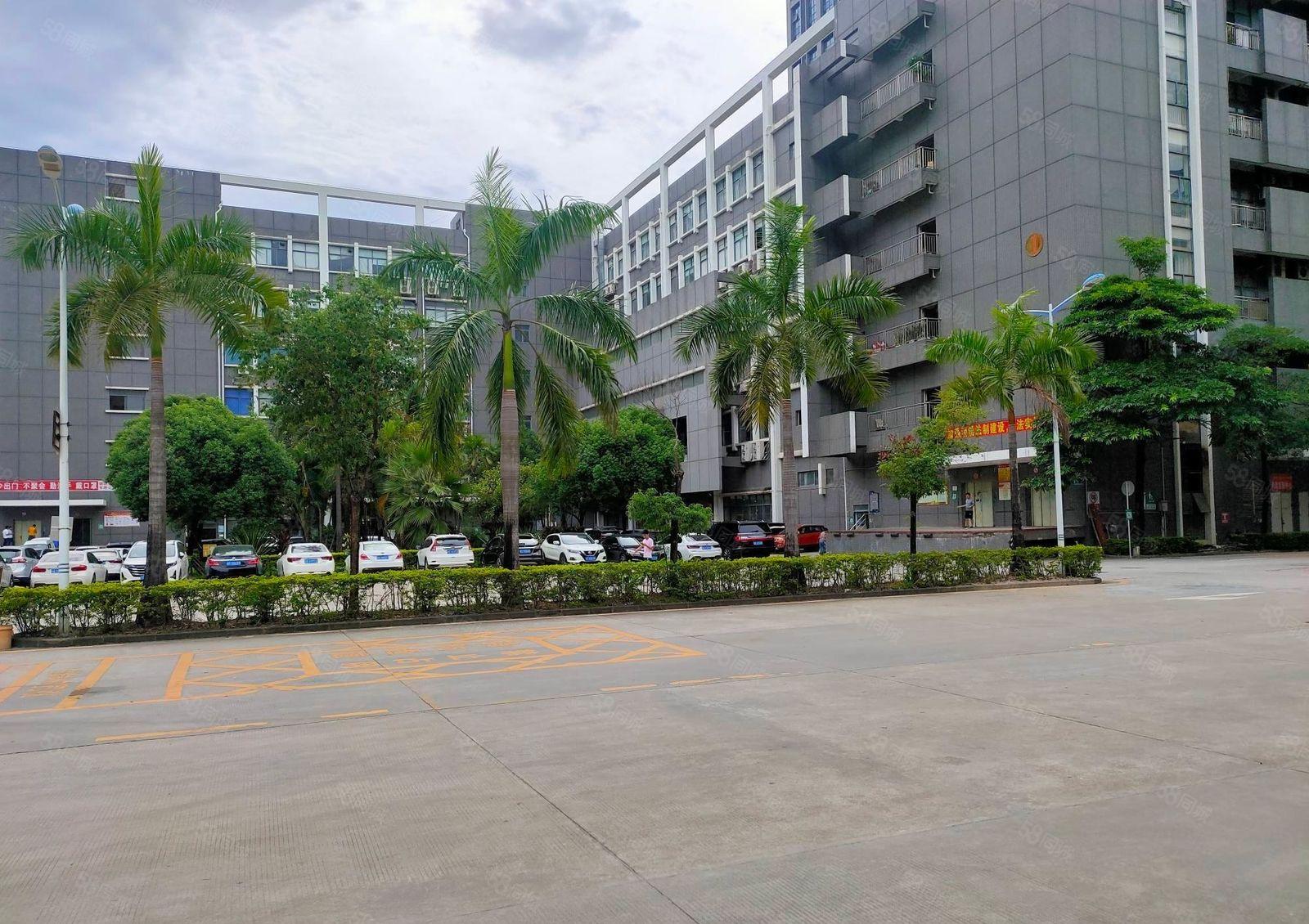 石岩桃花科技园精装500平至10000平电商仓库厂房出租