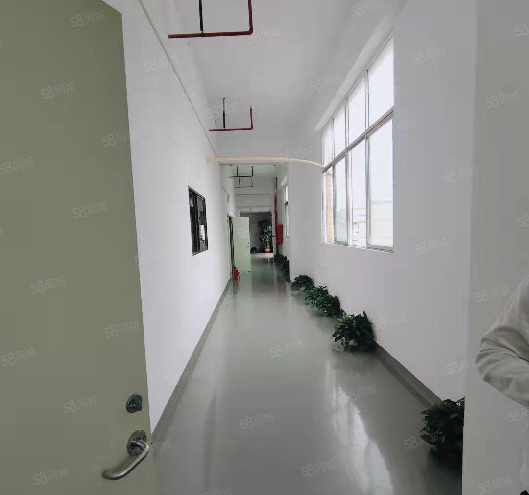 宝安福永新和二楼600平方出租，20元！带装修位置好