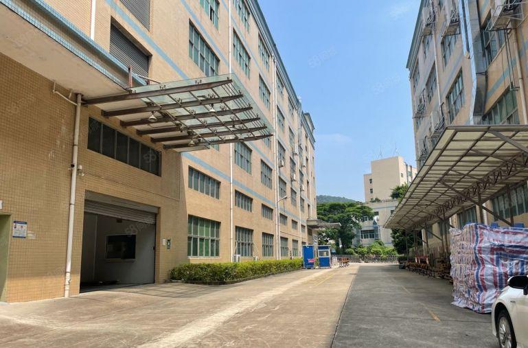 西乡桃源居2000平原房东精装修厂房仓库写字楼出租价低