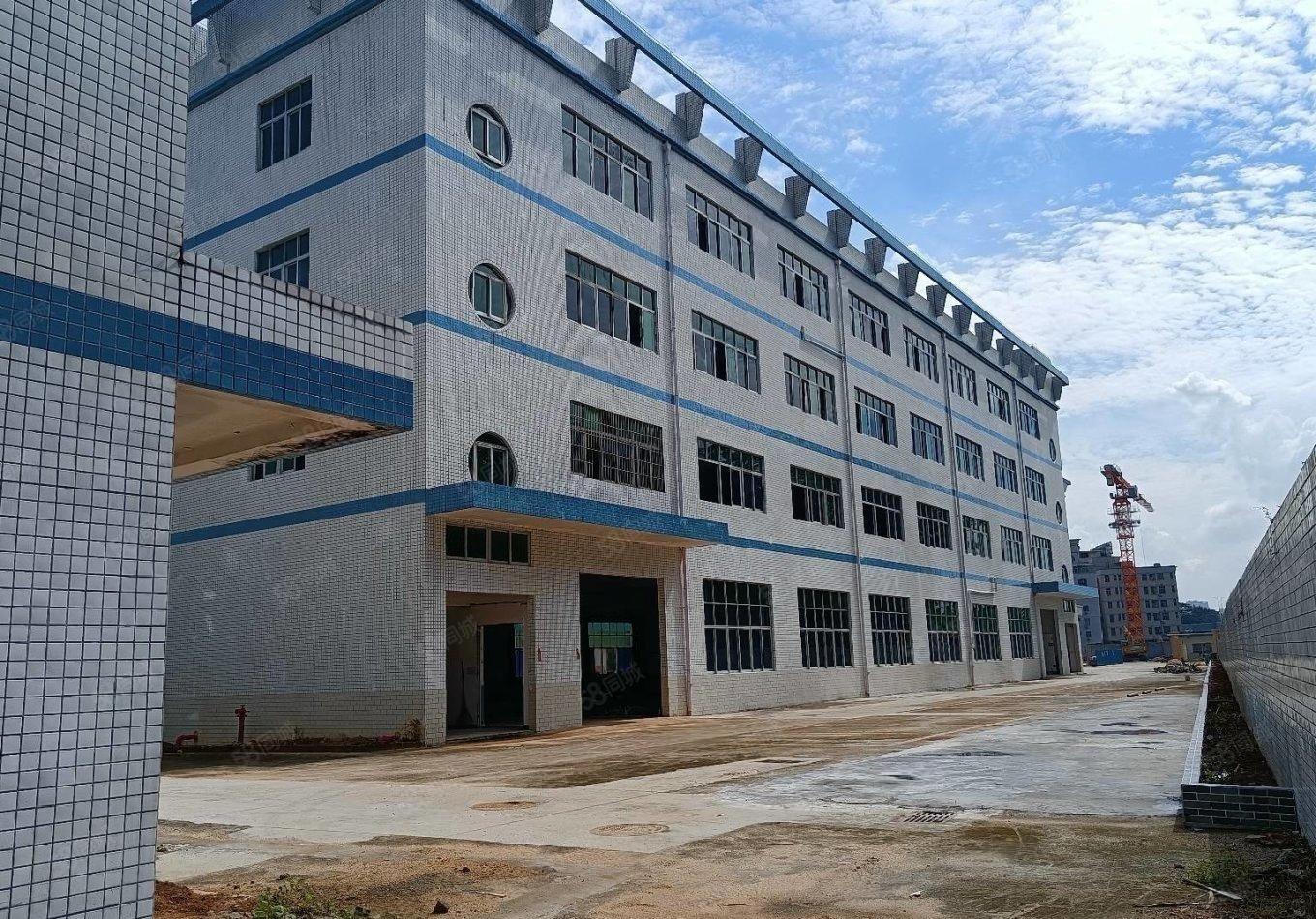 石岩塘头新出楼上1060平原房东精装修厂房仓库出租