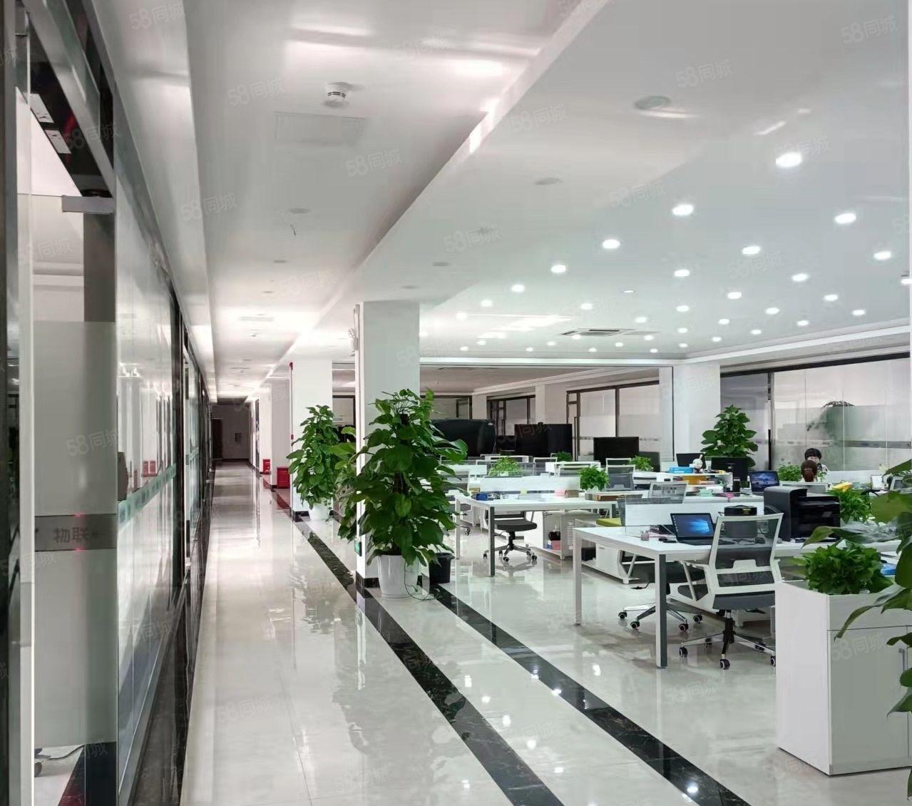 新安兴东地铁口200米，业主豪华精装厂房出租，价格实惠