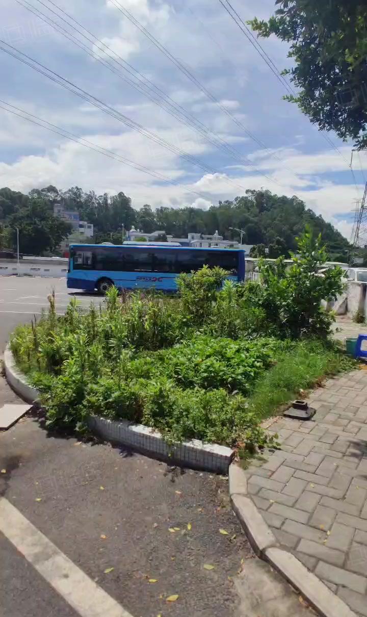 松岗一手房东独院一楼单一层标准钢钩9200平出租可分租