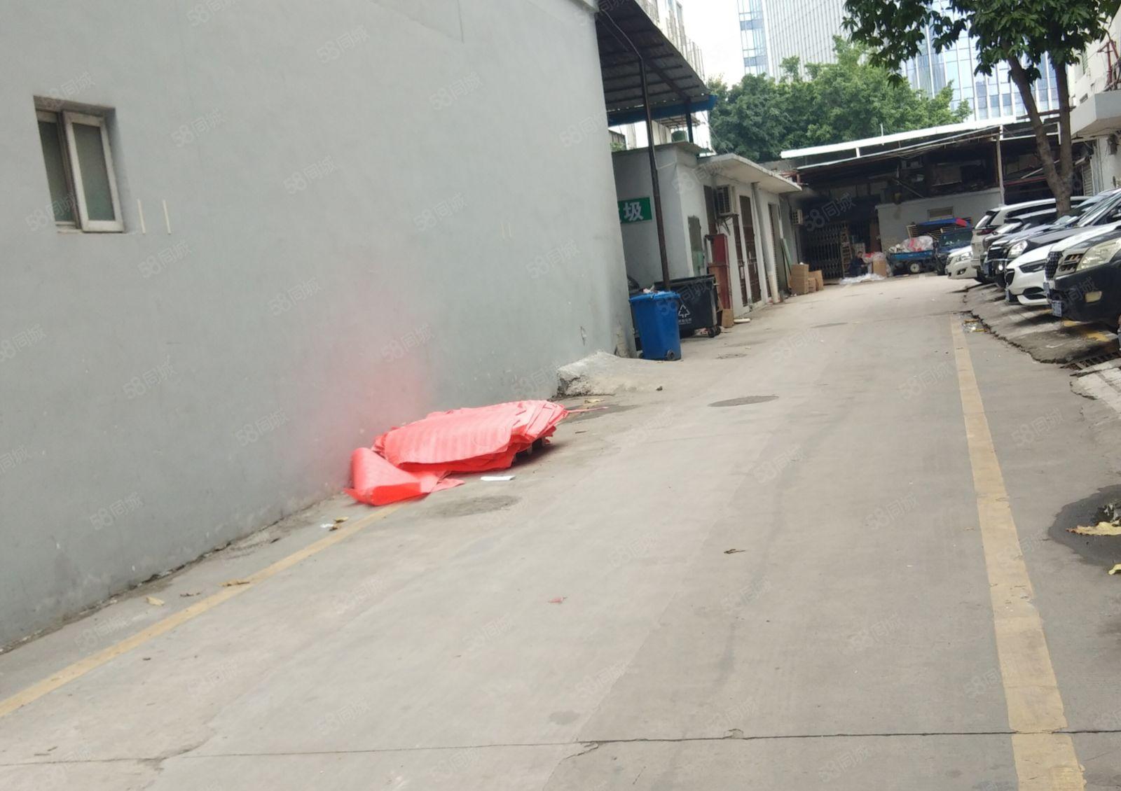 西乡鹤州原房东一楼267平