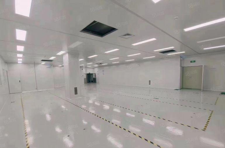沙井新出无尘车间800方装修保留完整