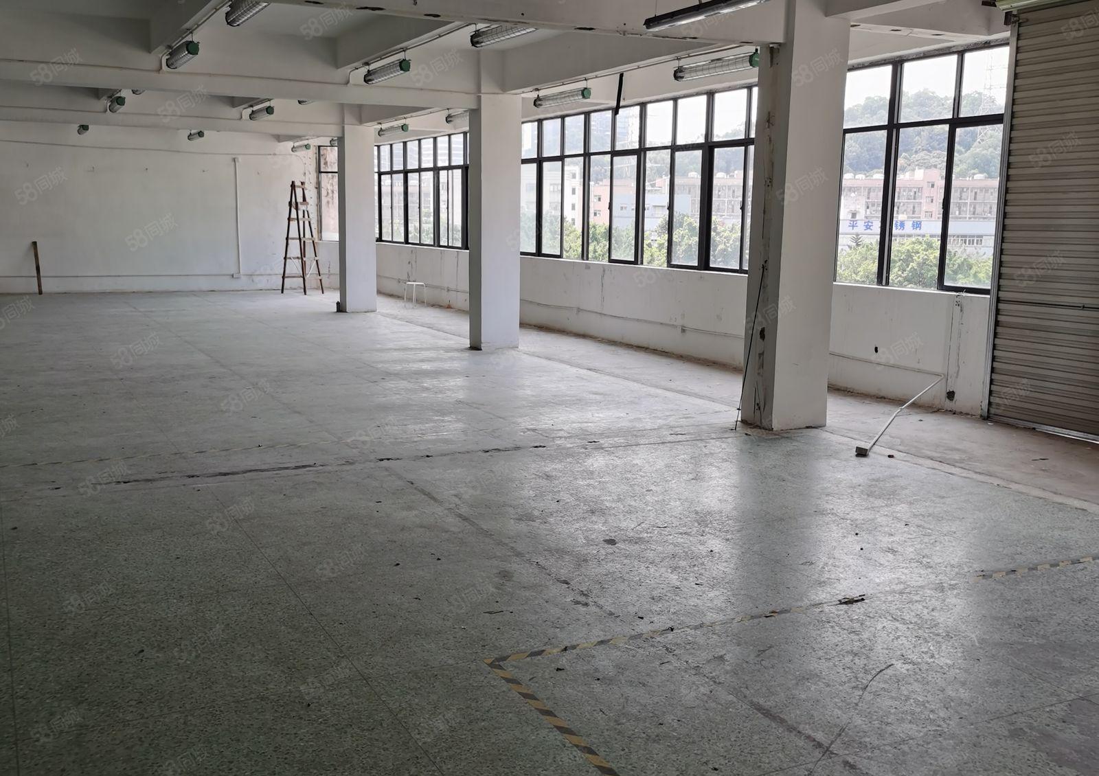 107旁西成工业区365平560平1260平精装厂房出租