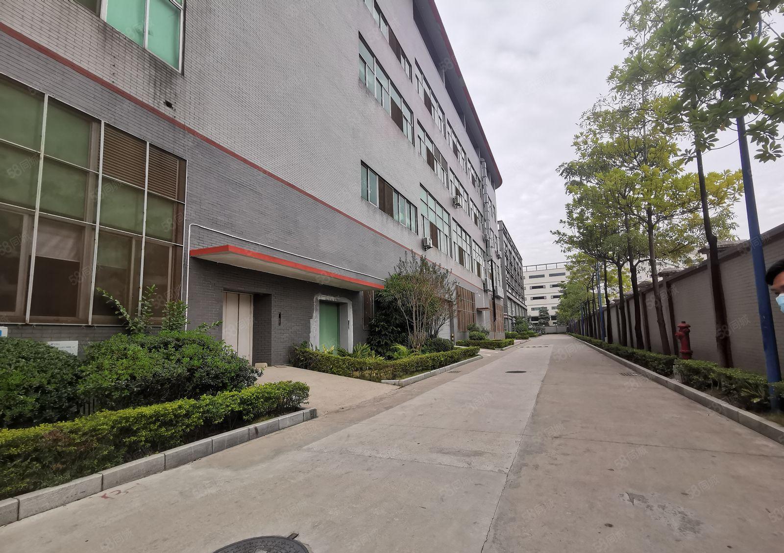 观澜章阁原房东红本独栋3层两万八千平厂房招租带卸货平台可分租