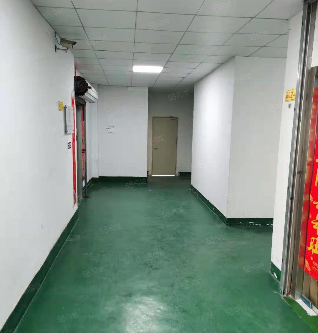 （兴东）洪浪北地铁口有225平装修厂房仓库出租