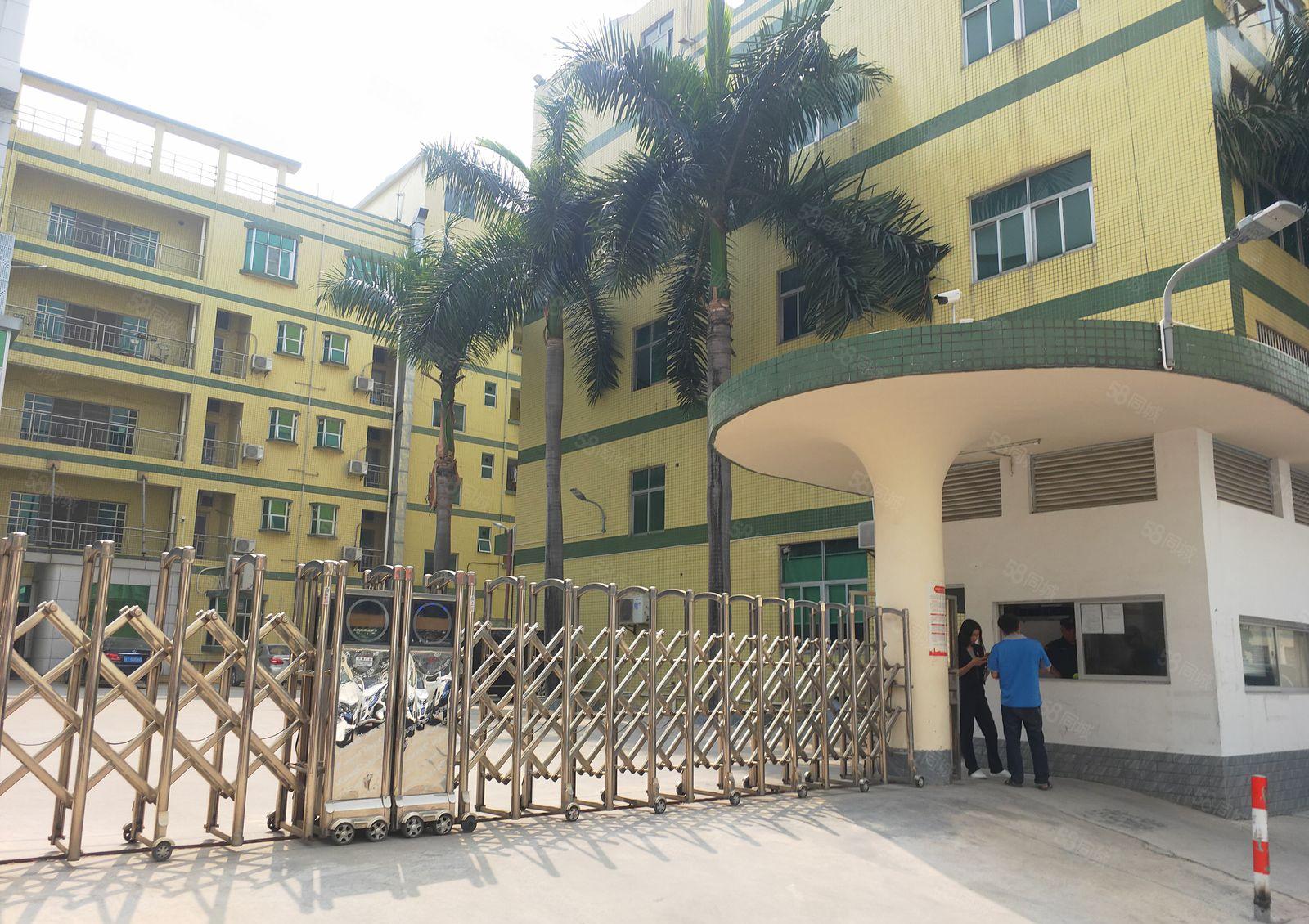 松岗谭头工业园区独门独院楼上2000平方厂房出租带精装修