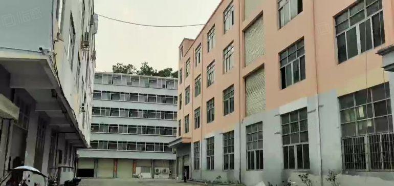 西乡独院红本6千平，全新形象可分租，电改园区，零公摊