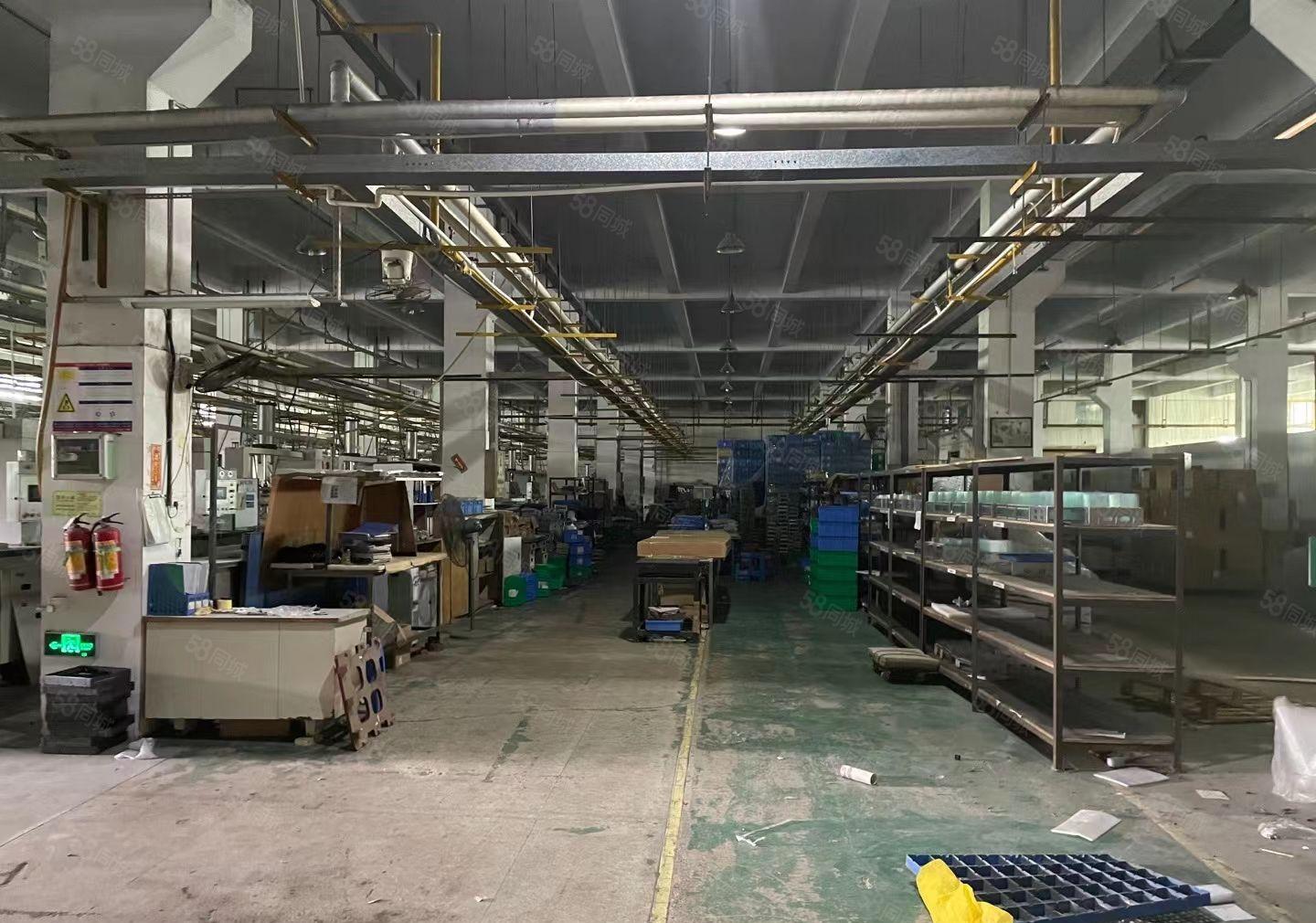 今天刚出沙井33000平方一楼7.5米高厂房出租