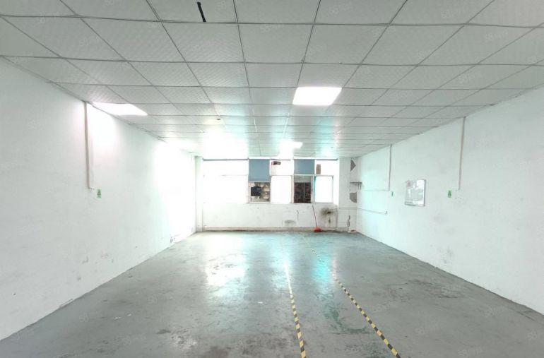 西乡固戍，梧桐岛附近，带装修220平169平厂房仓库出租