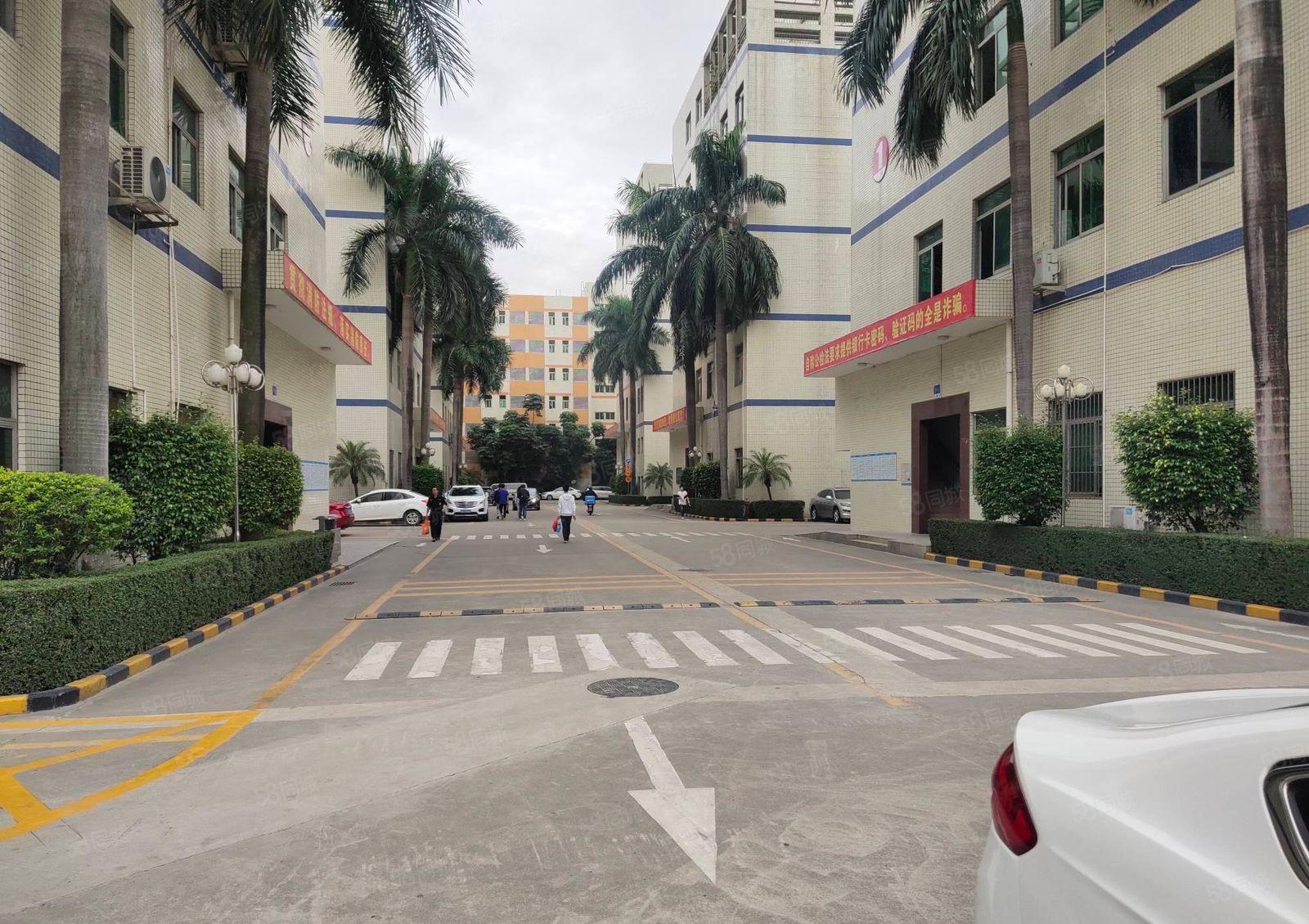 100平起分租石岩厂房独院精装6000平办公室仓库厂房出租